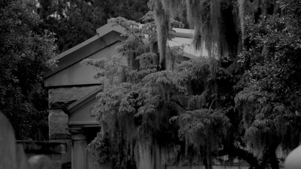 Afternoon in the Cemetery