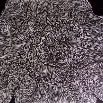 Florigen 1