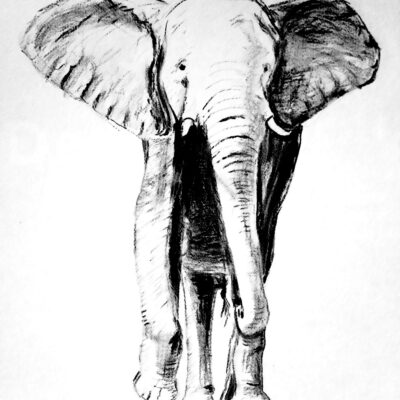Pencil