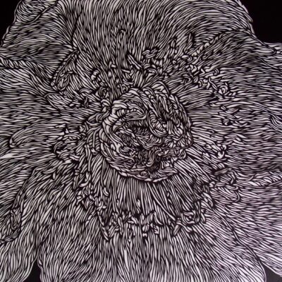Florigen-01