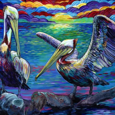 Pelicans at Sunset