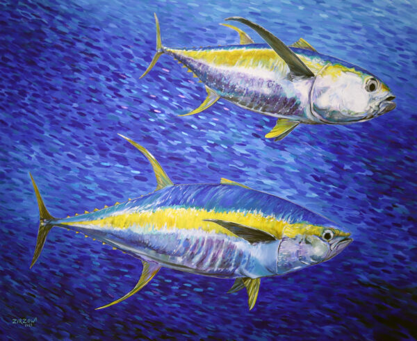 Two Yellowfin Tuna