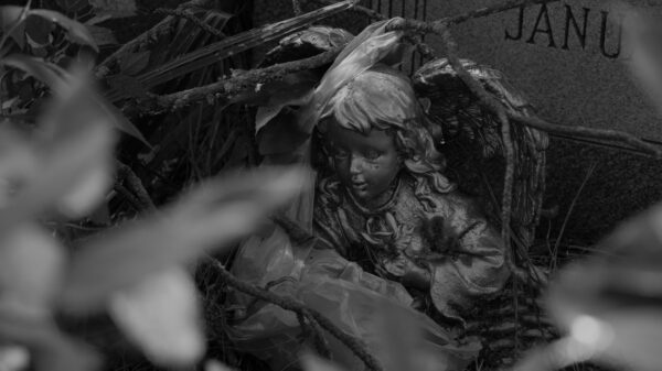 Angel