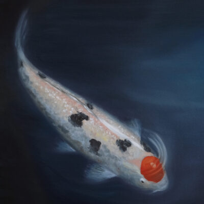 Koi fish