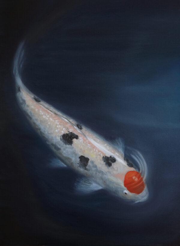 Koi fish