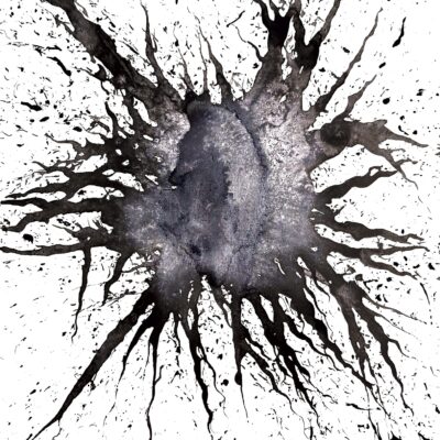 Radiation: Gromphadorrhina portentosa