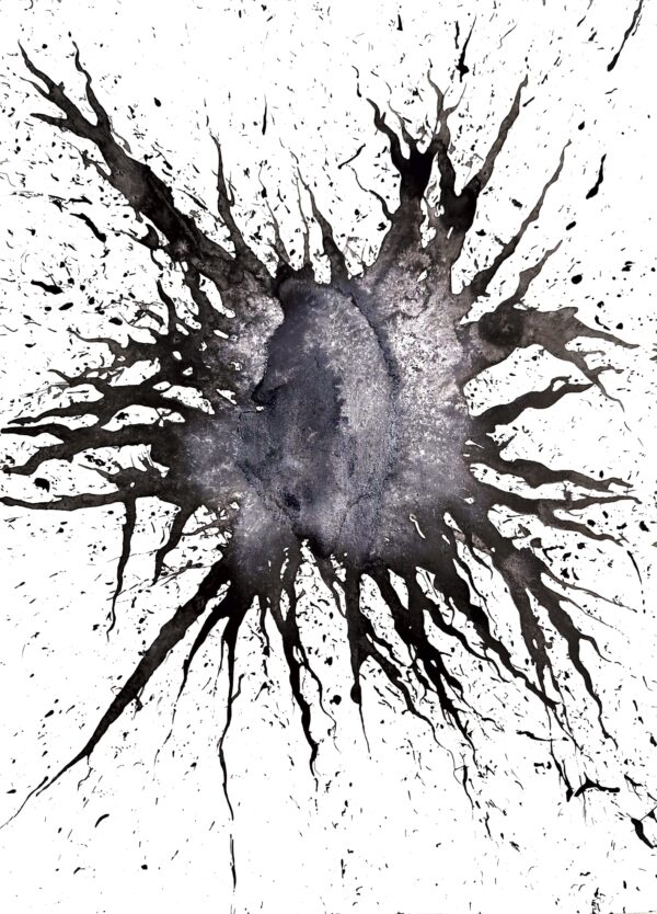 Radiation: Gromphadorrhina portentosa