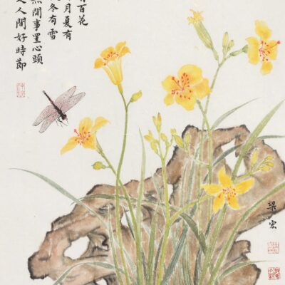 Daylily