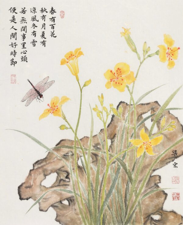 Daylily