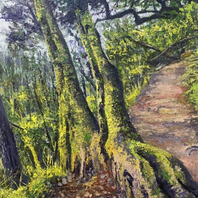 Canopy View Trail