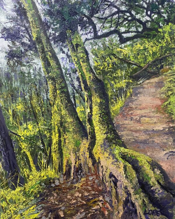 Canopy View Trail