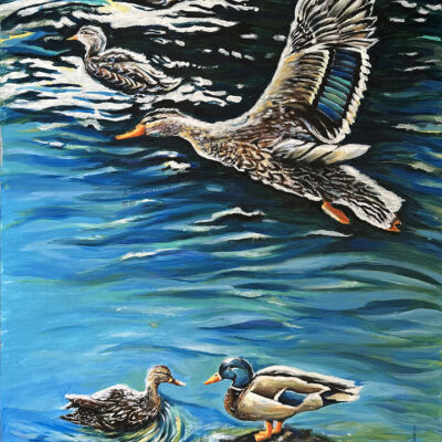 Duck Flying