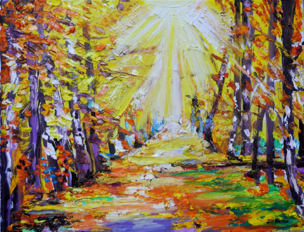 Autumn Forest