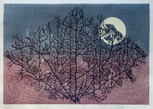Forest For The Trees