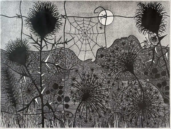 Midnight Meadow