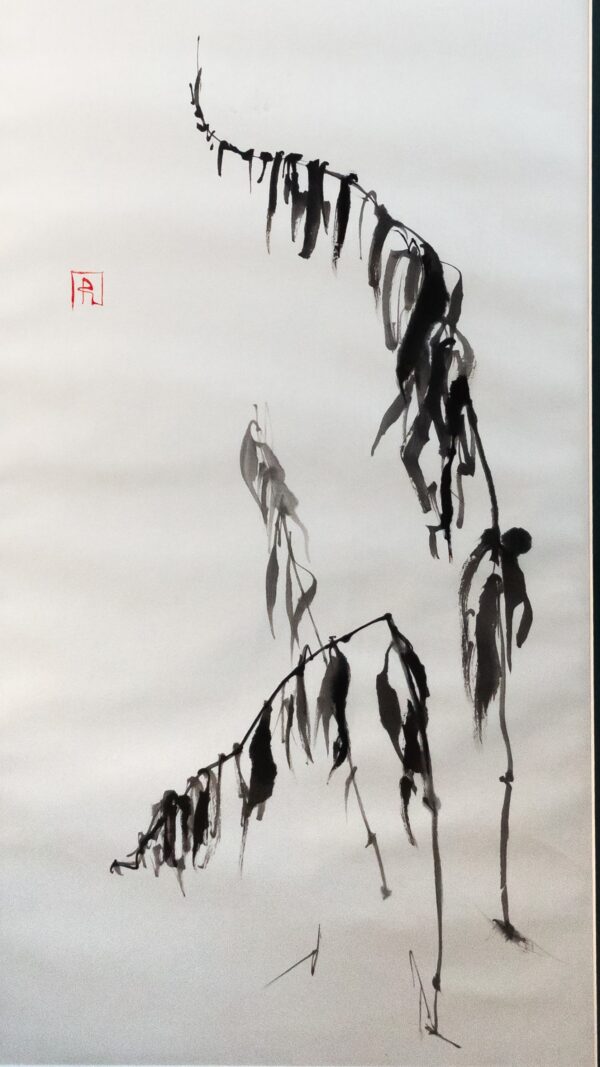 Shadows of Winter Conciliation