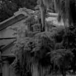 Afternoon in the Cemetery