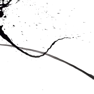 Conscious & Unconscious: Gromphadorrhina Portentosa