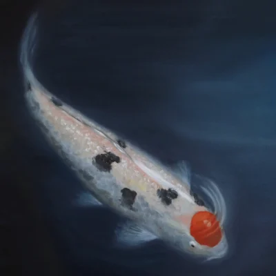 Koi Fish