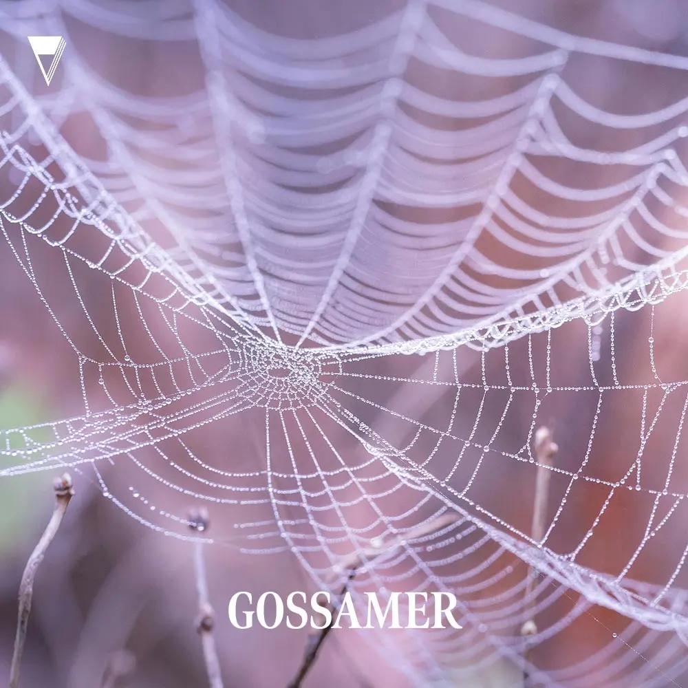 Gossamer