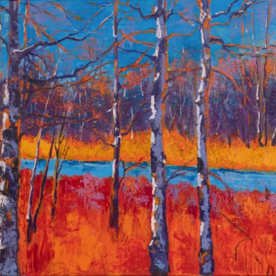 Afternoon By Millers River