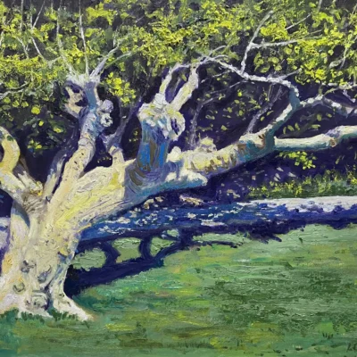 Mid Day on Monarch Beach