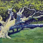 Mid Day on Monarch Beach