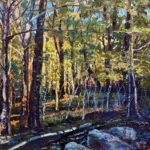 Sunrise on Echo Lake Trail