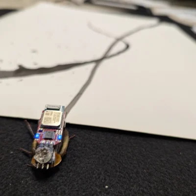 Making (Conscious & Unconscious: Gromphadorrhina Portentosa)