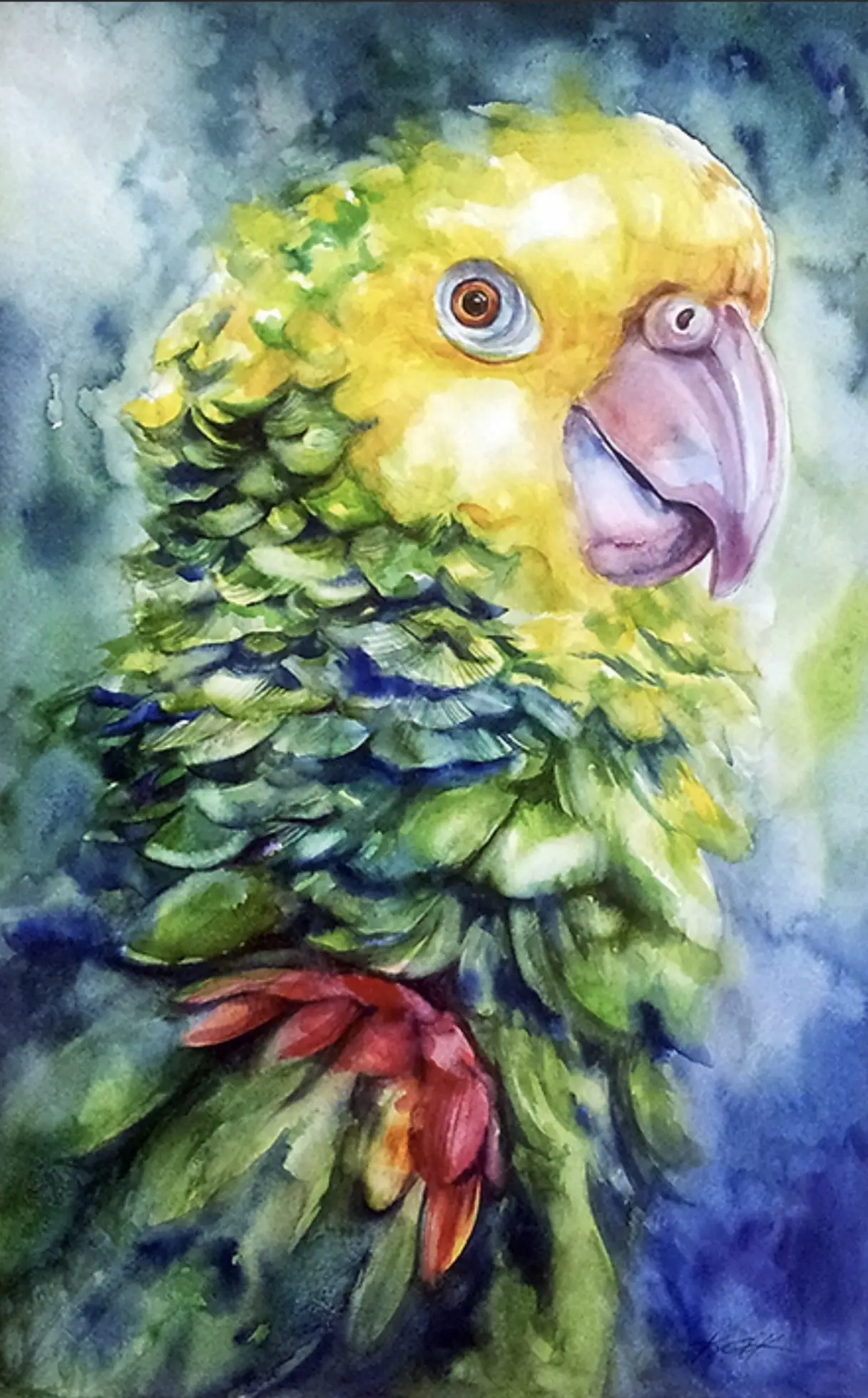 Conure