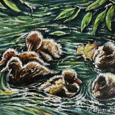Ducklings Swimming