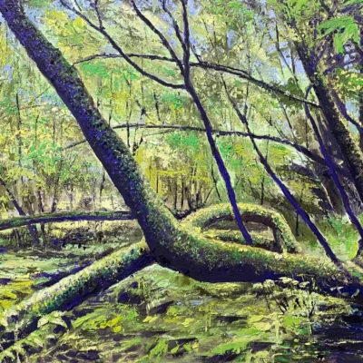 Entering Muir Woods | Mark Lore | Oil Art | TERAVARNA