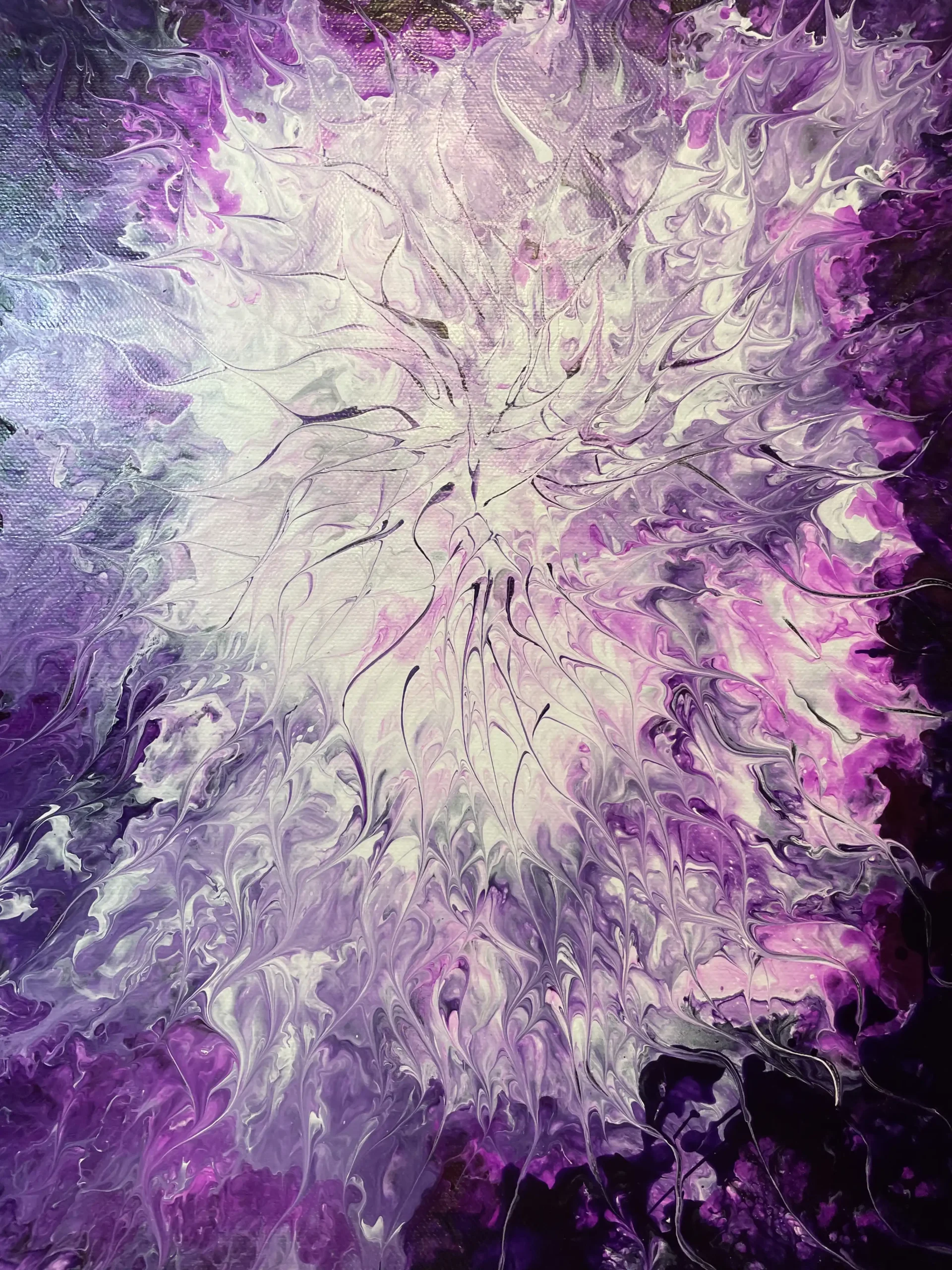 Agapanthus