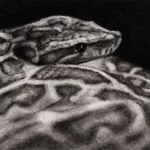 Gloria by Rebecca Allain | TERAVARNA Marketplace