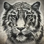 I See You | I See You by Rebecca Allain | TERAVARNA Marketplace