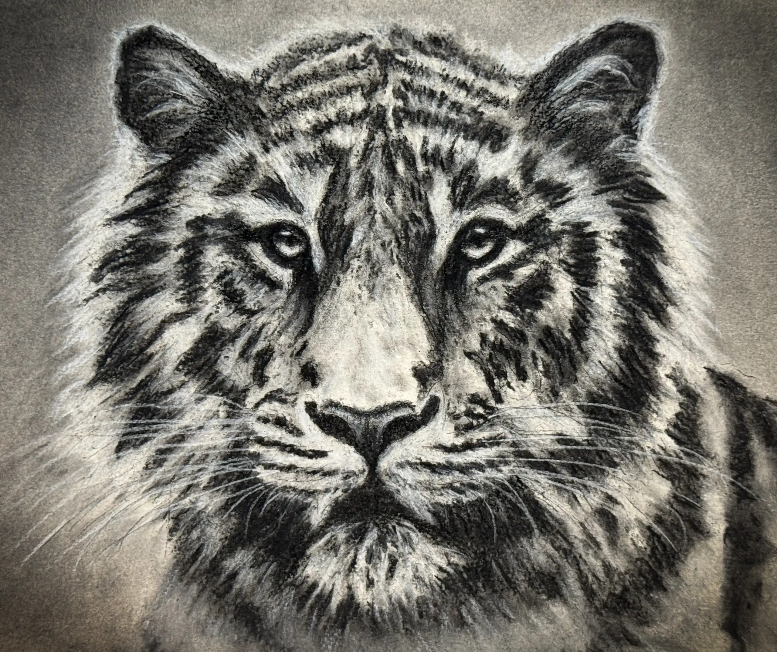 I See You | I See You by Rebecca Allain | TERAVARNA Marketplace