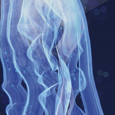 Light in the Mystery