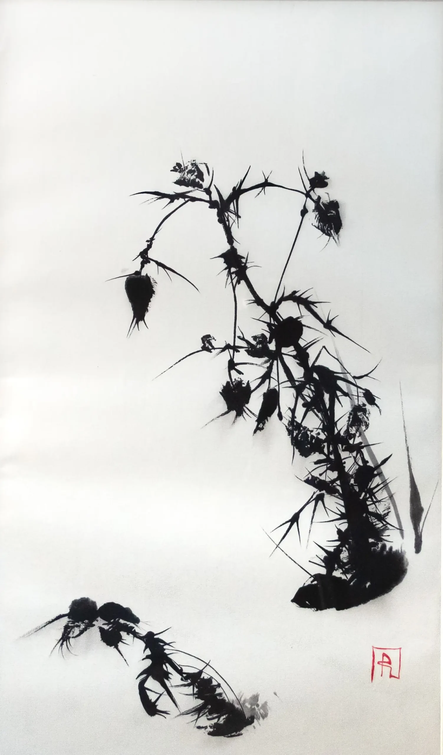 Shadows of Winter Brittleness