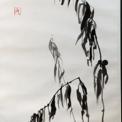 Shadows of Winter Conciliation