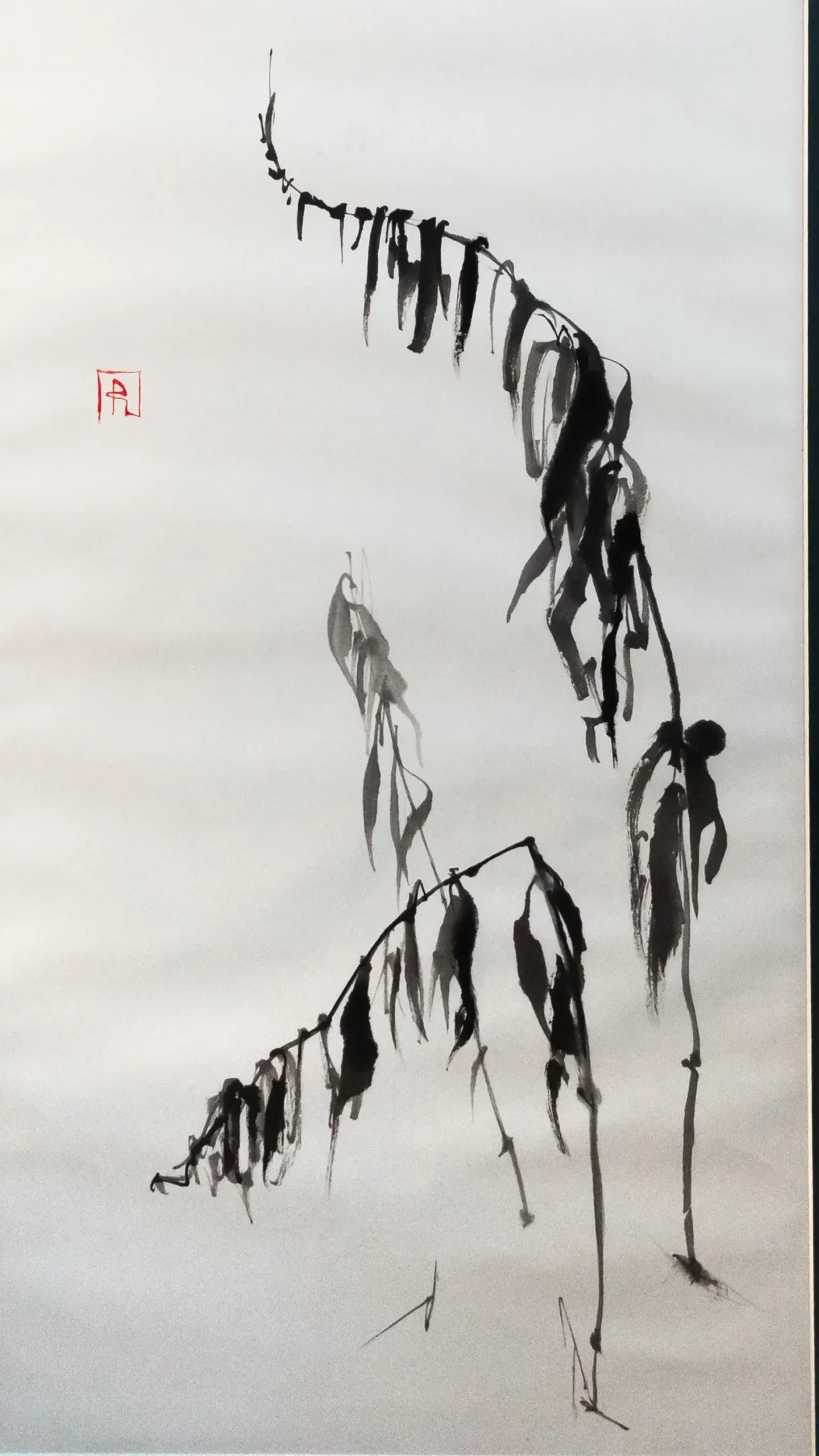 Shadows of Winter Conciliation