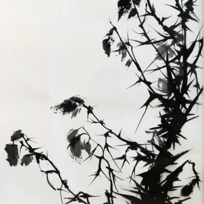 Shadows of Winter Desire