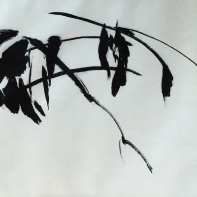 Shadows of Winter Persistence