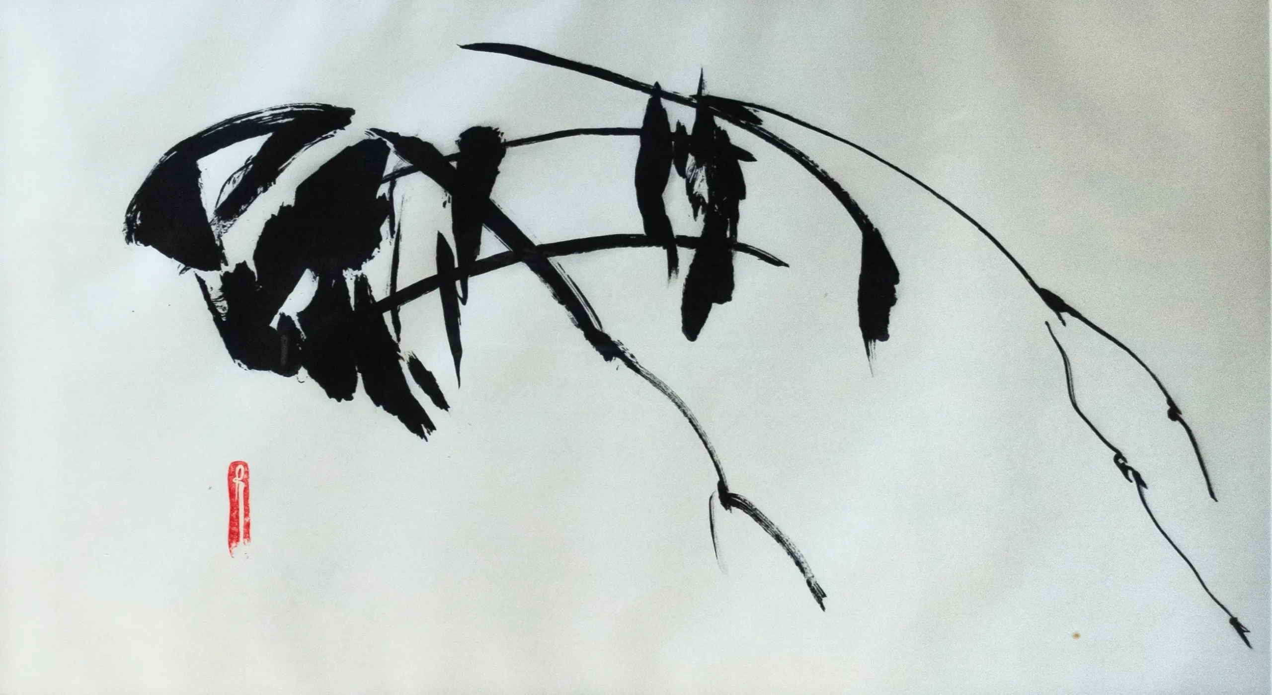 Shadows of Winter Persistence