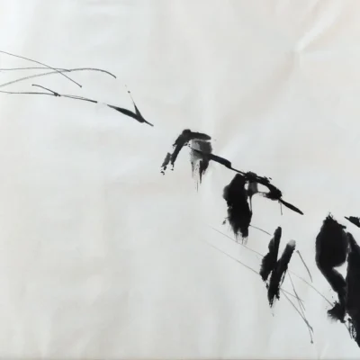 Shadows of Winter Under Snow