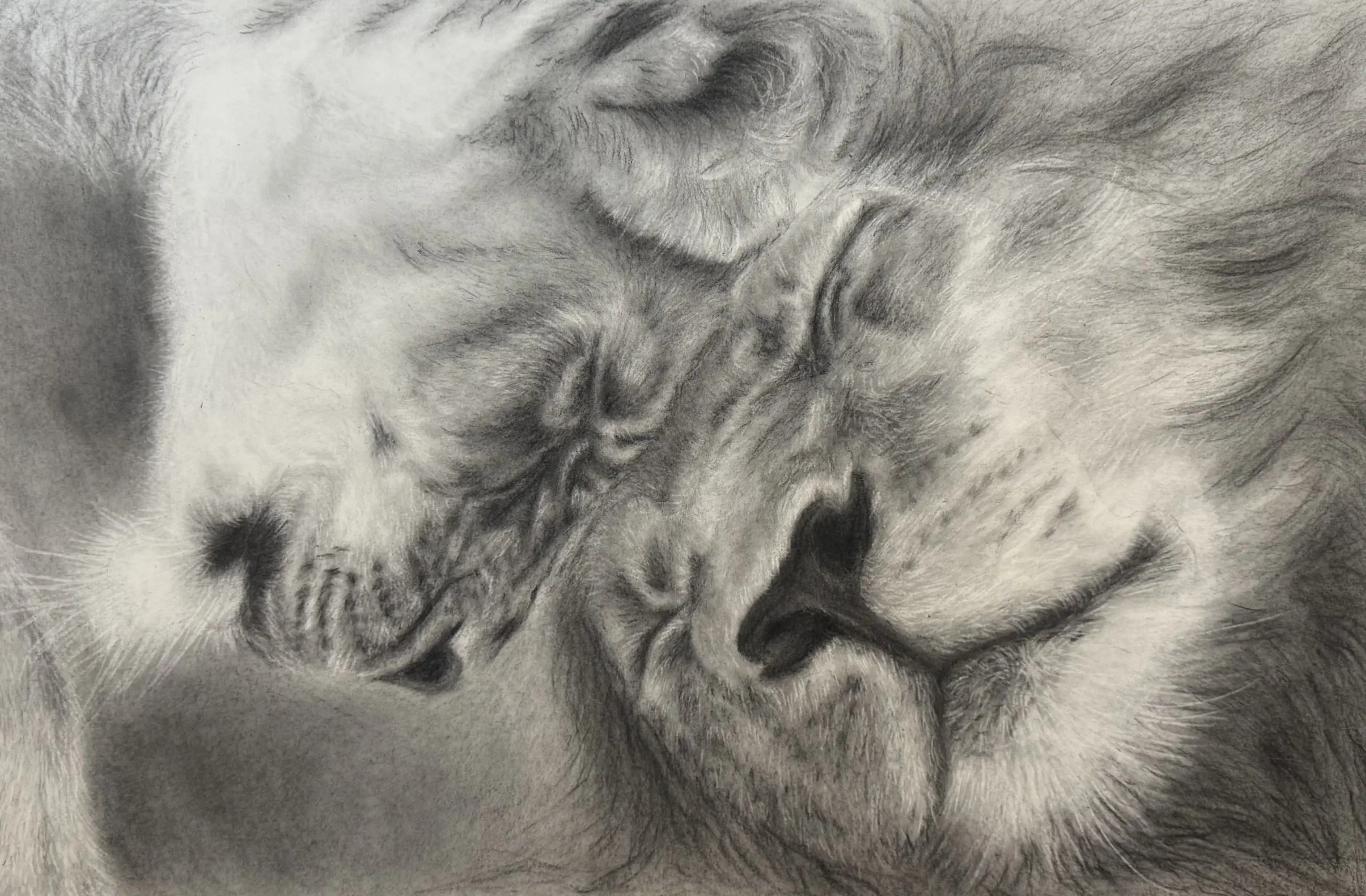 The Queen and Her King by Rebecca Allain | TERAVARNA