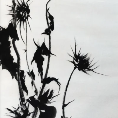 The Queen of Thistle