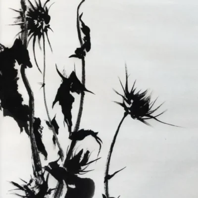 The Queen of Thistle