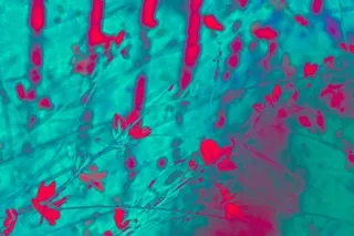 Diptych "Color rush" Part 2