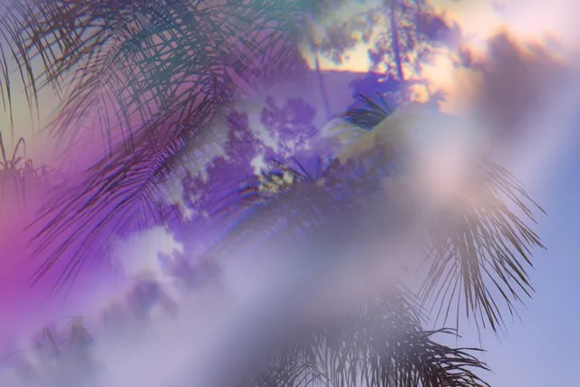 Diptych Dream in Lavender Part 2