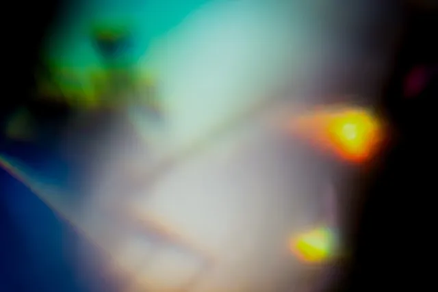 Diptych 'Lucid Bloom Part 2'